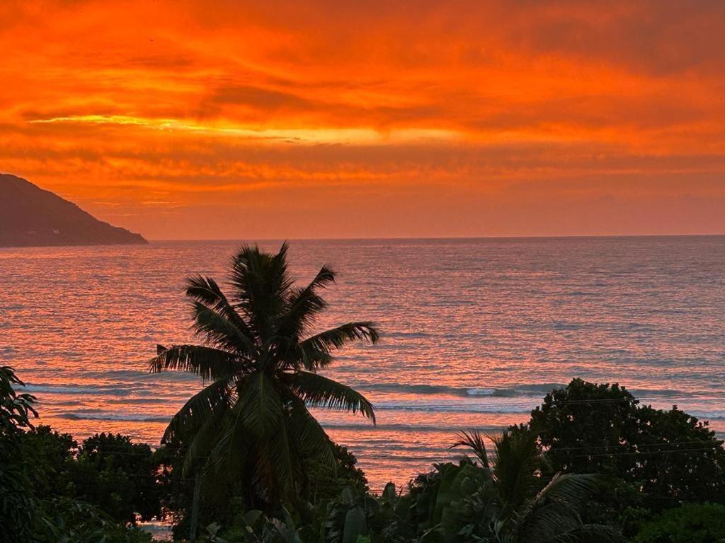Summer Sand Holiday Apartments Beau Vallon  Extérieur photo