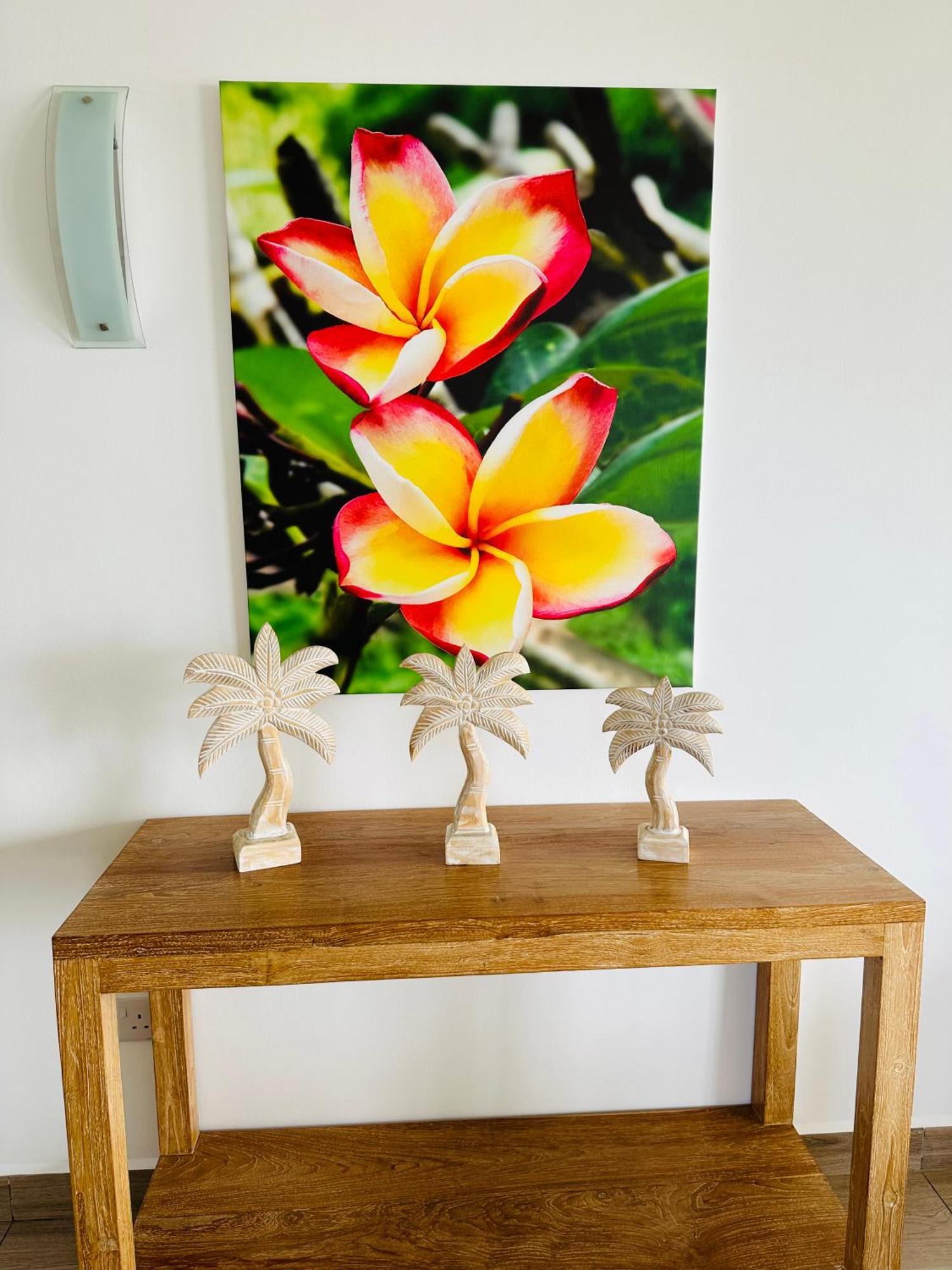 Summer Sand Holiday Apartments Beau Vallon  Extérieur photo